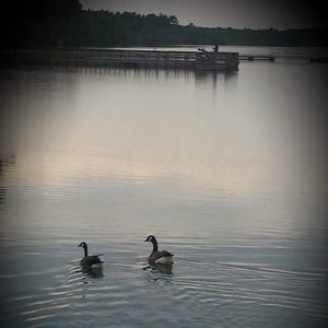 Meet your Posher, Ashlie